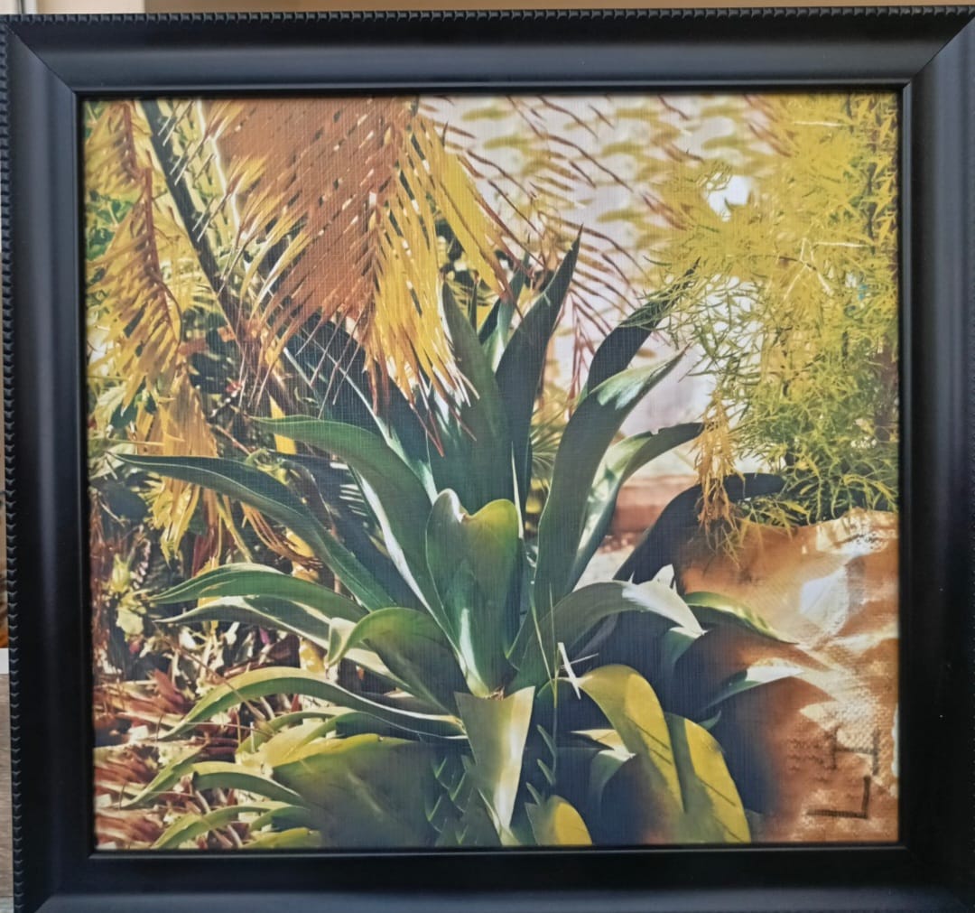 Student Feature: Turning Passion into Profession through PSA By Zipporah Peter PRO, Lincoln College of Science, Management and Technology